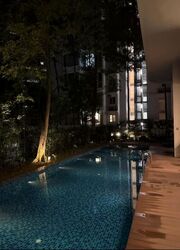 Illuminaire On Devonshire (D9), Apartment #539458871